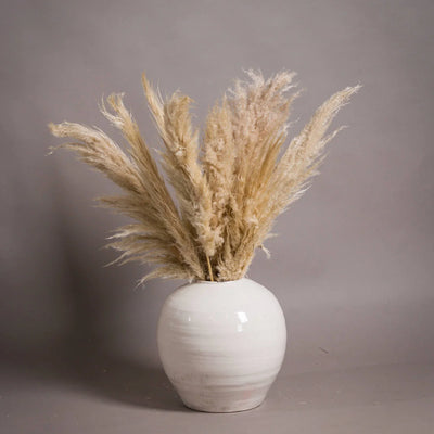 cream-vases-collection-the-bonnie-home