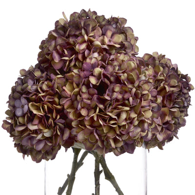 Hill-Interiors-Autumn-Burgundy-Hydrangea_4