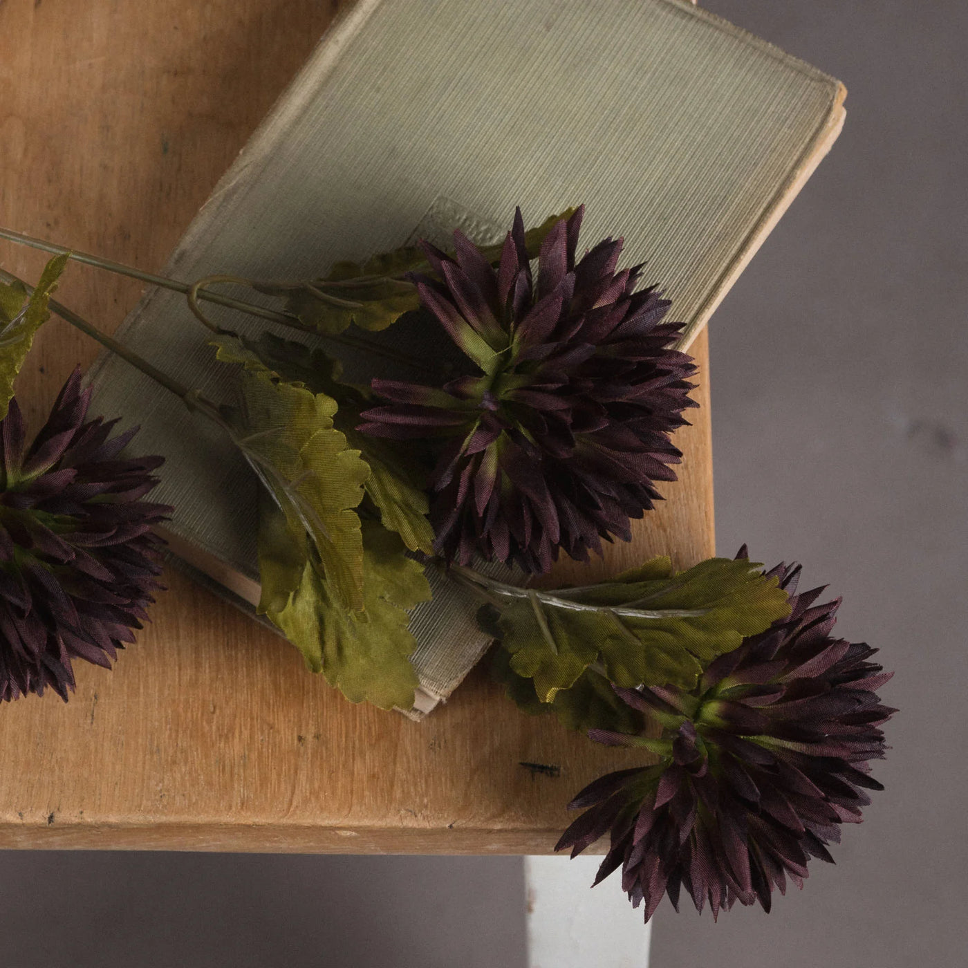 Hill-Interiors-Chocolate-Chrysanthemum_3
