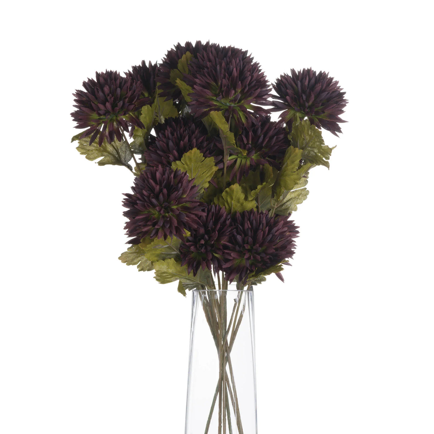 Hill-Interiors-Chocolate-Chrysanthemum_4