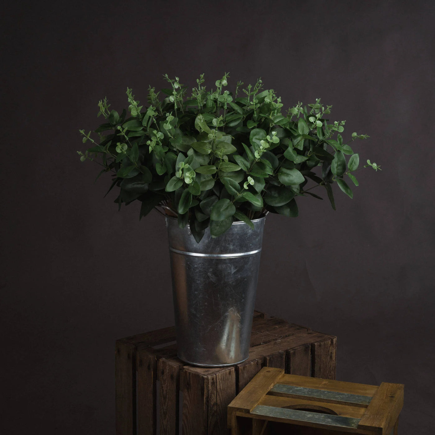 Hill-Interiors-Cineraria-Eucalyptus-Spray_1