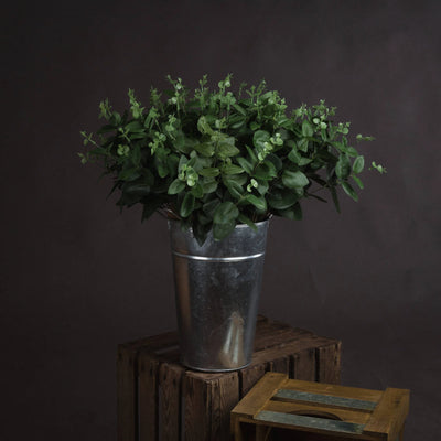 Hill-Interiors-Cineraria-Eucalyptus-Spray_1