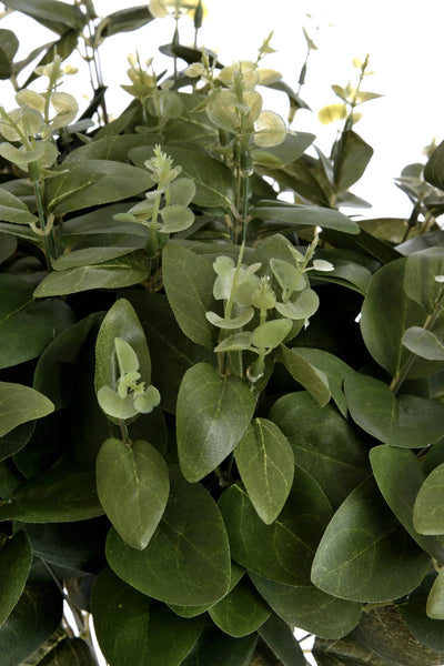 Hill-Interiors-Cineraria-Eucalyptus-Spray_5