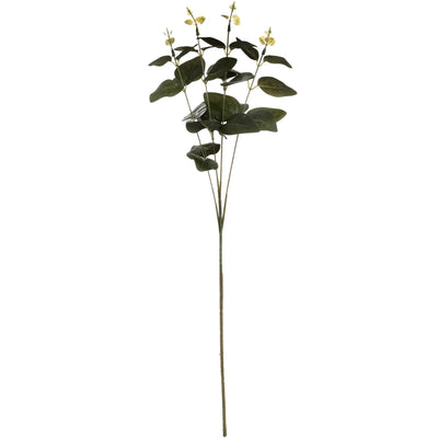Hill-Interiors-Cineraria-Eucalyptus-Spray_6