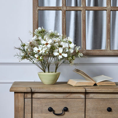 Hill-Interiors-Cream-Cosmos-Spray_7