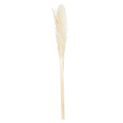 Hill-Interiors-Cream-Pampas-Grass-Stem_2
