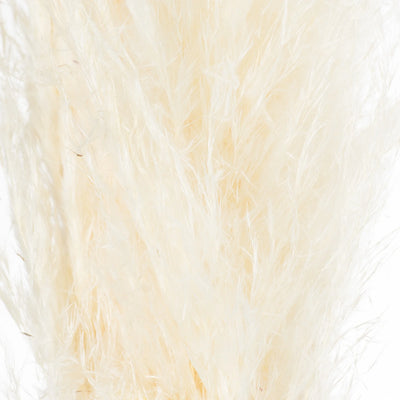 Hill-Interiors-Cream-Pampas-Grass-Stem_3