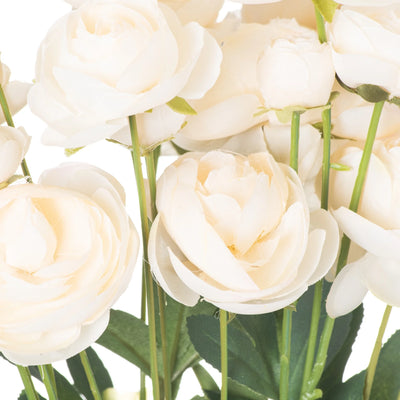 Hill-Interiors-Cream-Ranunculus_2