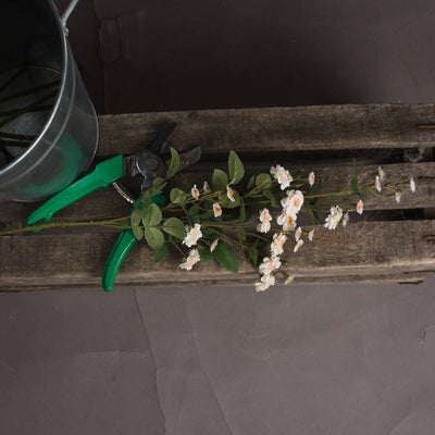 Hill-Interiors-Cream-Wild-Meadow-Rose_2