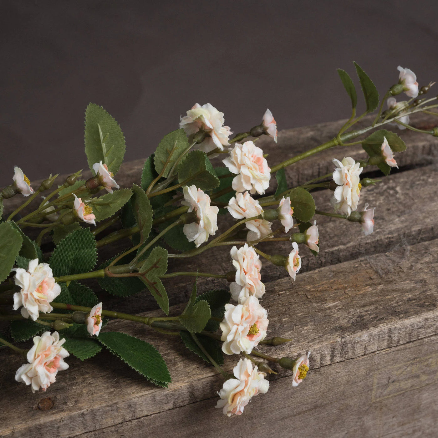 Hill-Interiors-Cream-Wild-Meadow-Rose_3