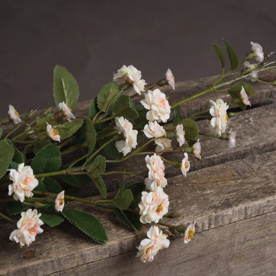 Hill-Interiors-Cream-Wild-Meadow-Rose_3