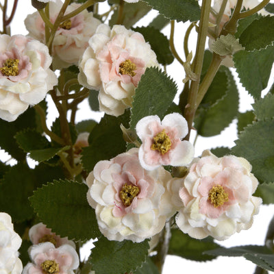 Hill-Interiors-Cream-Wild-Meadow-Rose_5