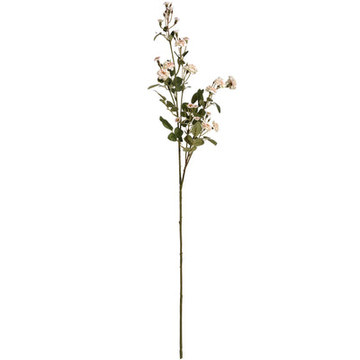 Hill-Interiors-Cream-Wild-Meadow-Rose_6
