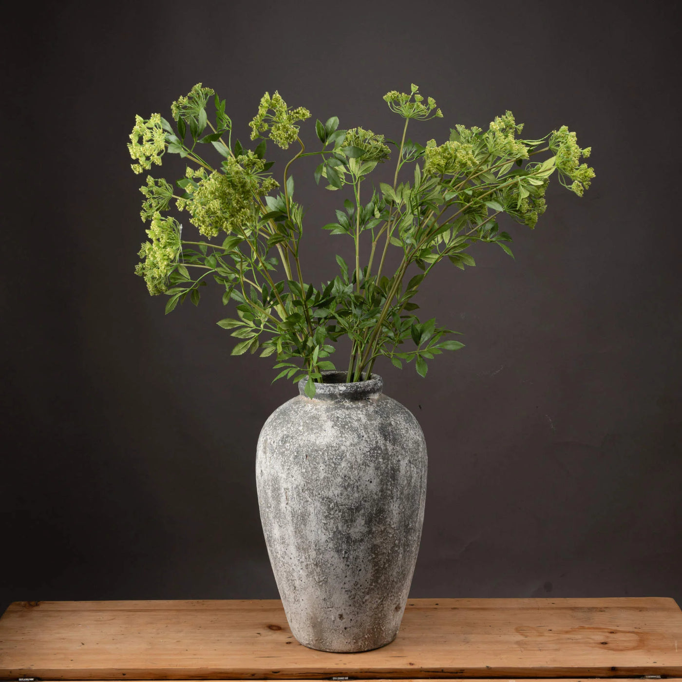 Hill-Interiors-Faux-Cow-Parsley-Ammi_1