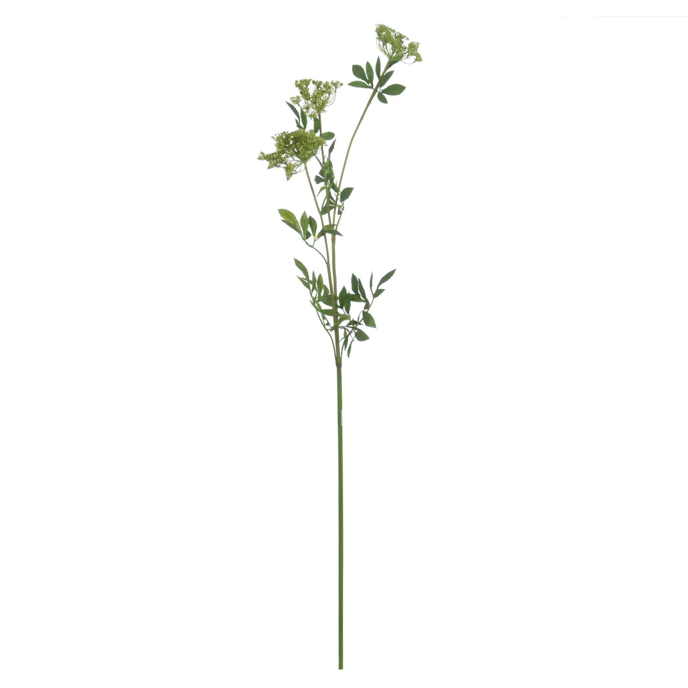 Hill-Interiors-Faux-Cow-Parsley-Ammi_4