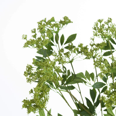 Hill-Interiors-Faux-Cow-Parsley-Ammi_5