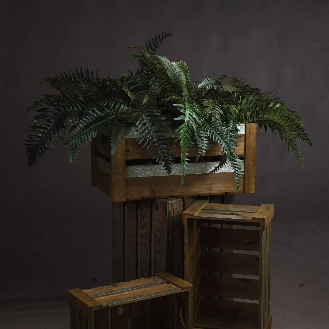Hill-Interiors-Fern-Bunch_1