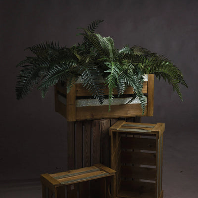 Hill-Interiors-Fern-Bunch_1