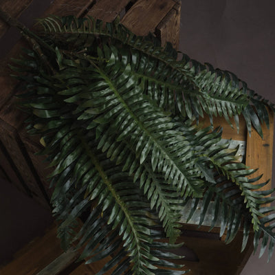 Hill-Interiors-Fern-Bunch_2