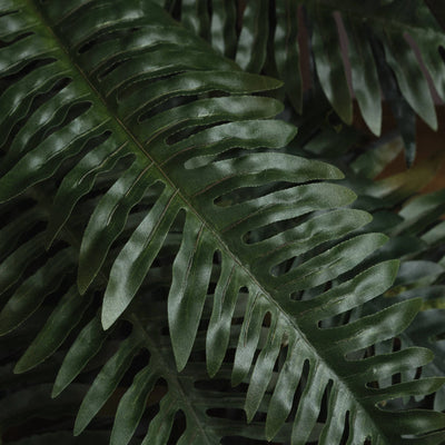 Hill-Interiors-Fern-Bunch_3