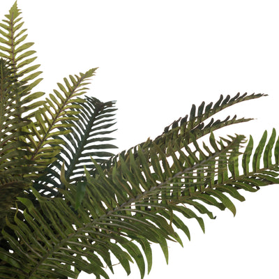 Hill-Interiors-Fern-Bunch_5