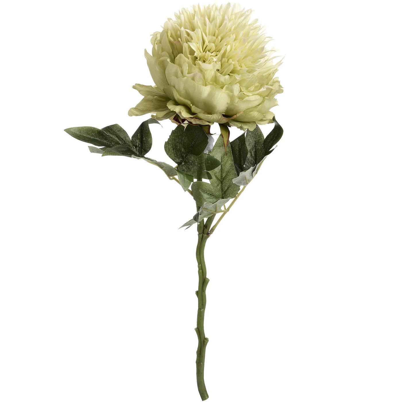 Hill-Interiors-Green-Peony_6