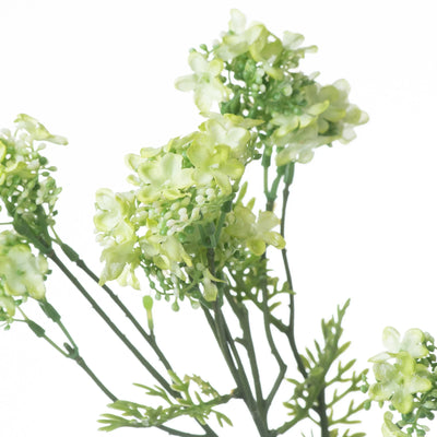 Hill-Interiors-Green-Plumb-Blossom-Spray_1