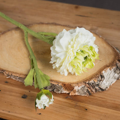 Hill-Interiors-Green-Ranunculus-Spray_3