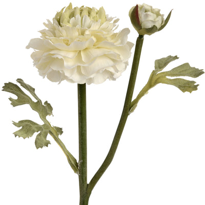Hill-Interiors-Green-Ranunculus-Spray_4
