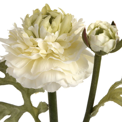 Hill-Interiors-Green-Ranunculus-Spray_5