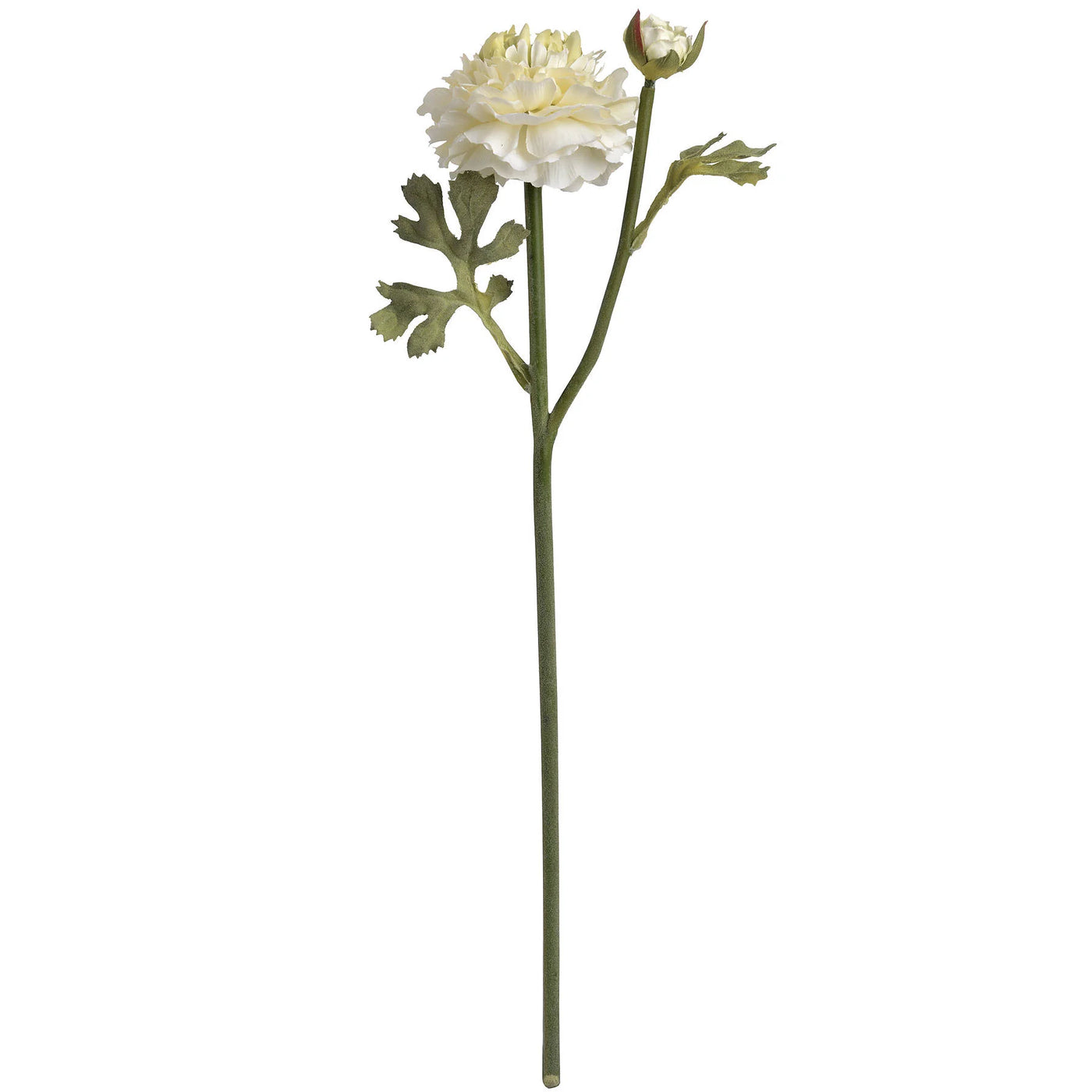 Hill-Interiors-Green-Ranunculus-Spray_6