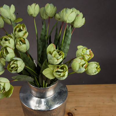 Hill-Interiors-Green-Tulip_2
