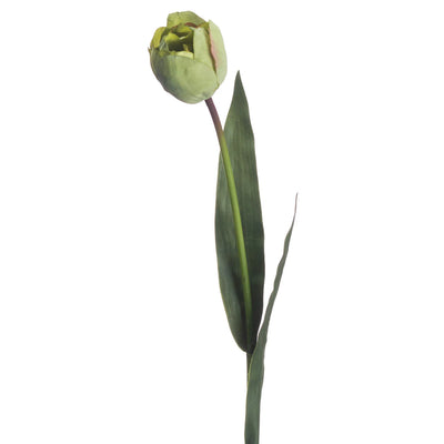 Hill-Interiors-Green-Tulip_3