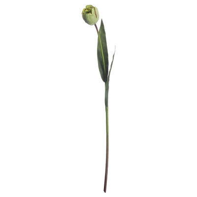 Hill-Interiors-Green-Tulip_4