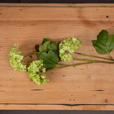 Hill-Interiors-Green-Viburnum-Spray_2