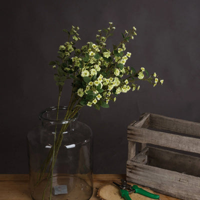 Hill-Interiors-Green-Wild-Meadow-Rose_1