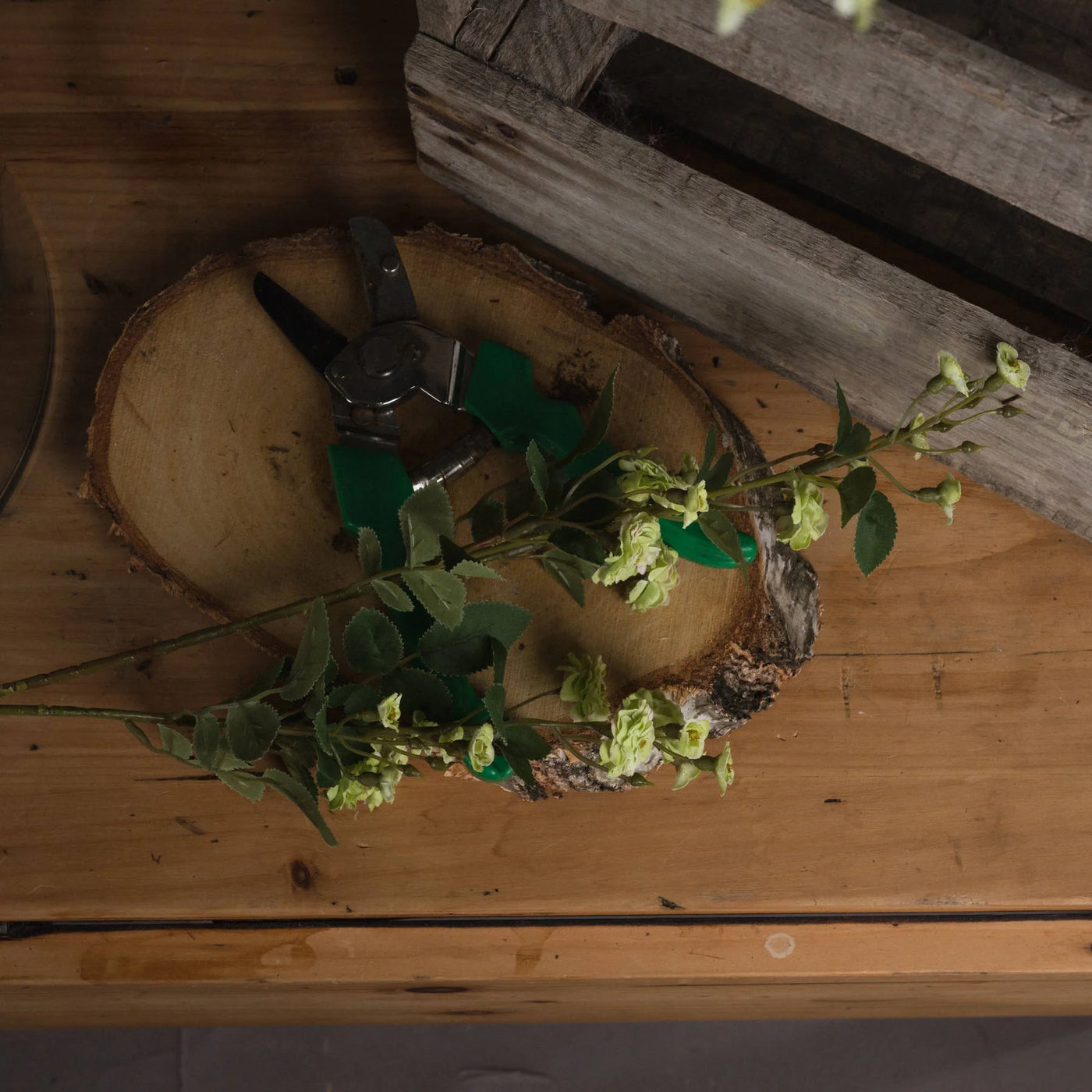 Hill-Interiors-Green-Wild-Meadow-Rose_2