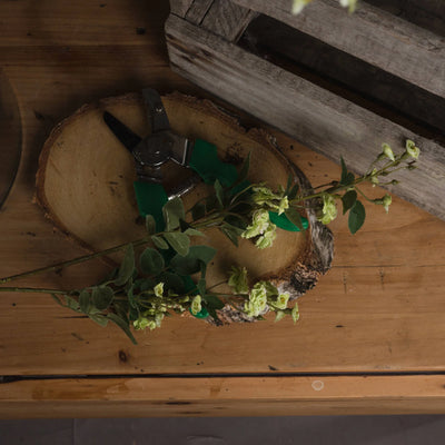 Hill-Interiors-Green-Wild-Meadow-Rose_2