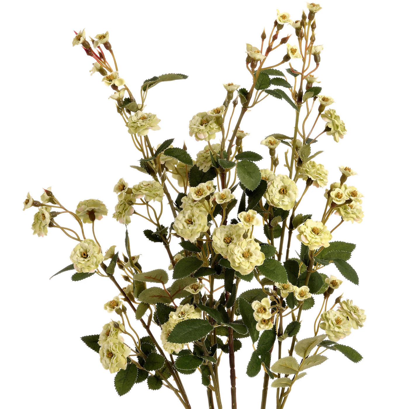 Hill-Interiors-Green-Wild-Meadow-Rose_4