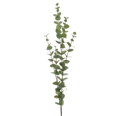 Hill-Interiors-Large-Cineraria-Eucalyptus-Spray_3