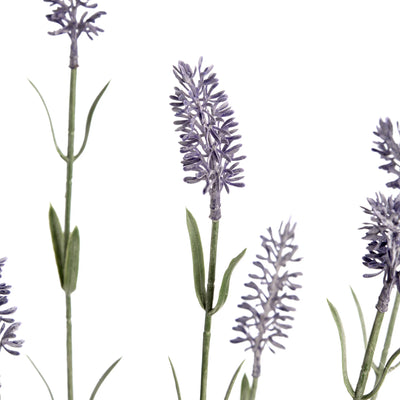 Hill-Interiors-Large-Lavender-Spray_5