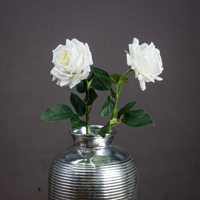 Hill-Interiors-Large-White-Garden-Rose_1