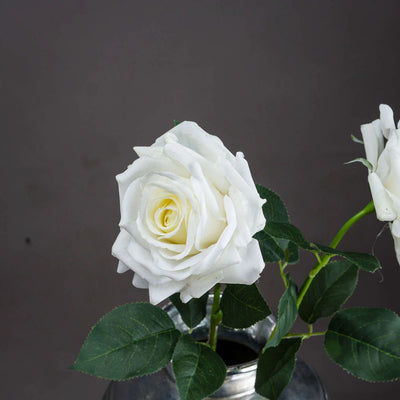 Hill-Interiors-Large-White-Garden-Rose_2