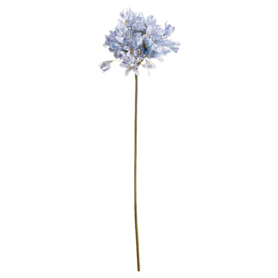 Hill-Interiors-Light-Blue-Large-Headed-Agapanthus_4