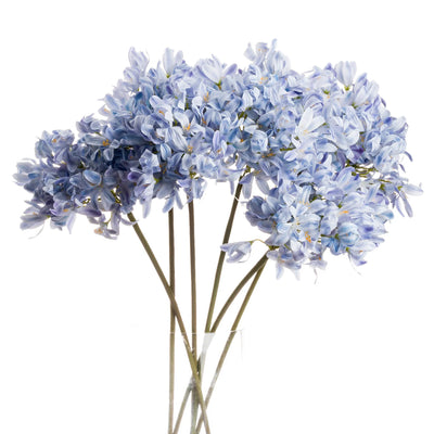 Hill-Interiors-Light-Blue-Large-Headed-Agapanthus_5