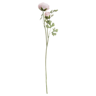 Hill-Interiors-Pastel-Pink-Ranunculus_4