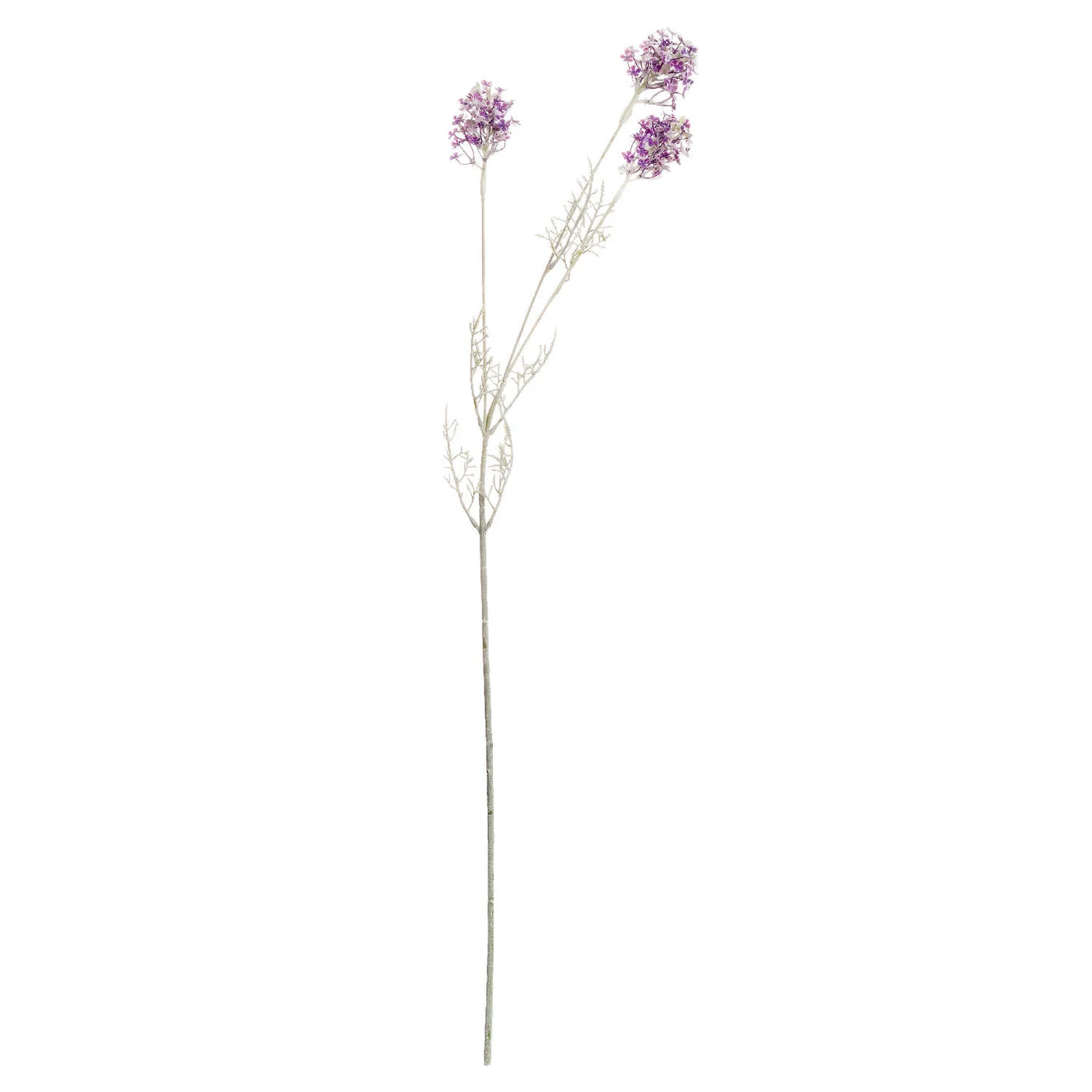 Hill-Interiors-Purple-Meadow-Flower_1