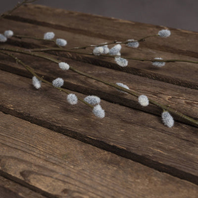 Hill-Interiors-Pussy-Willow-Branch_3