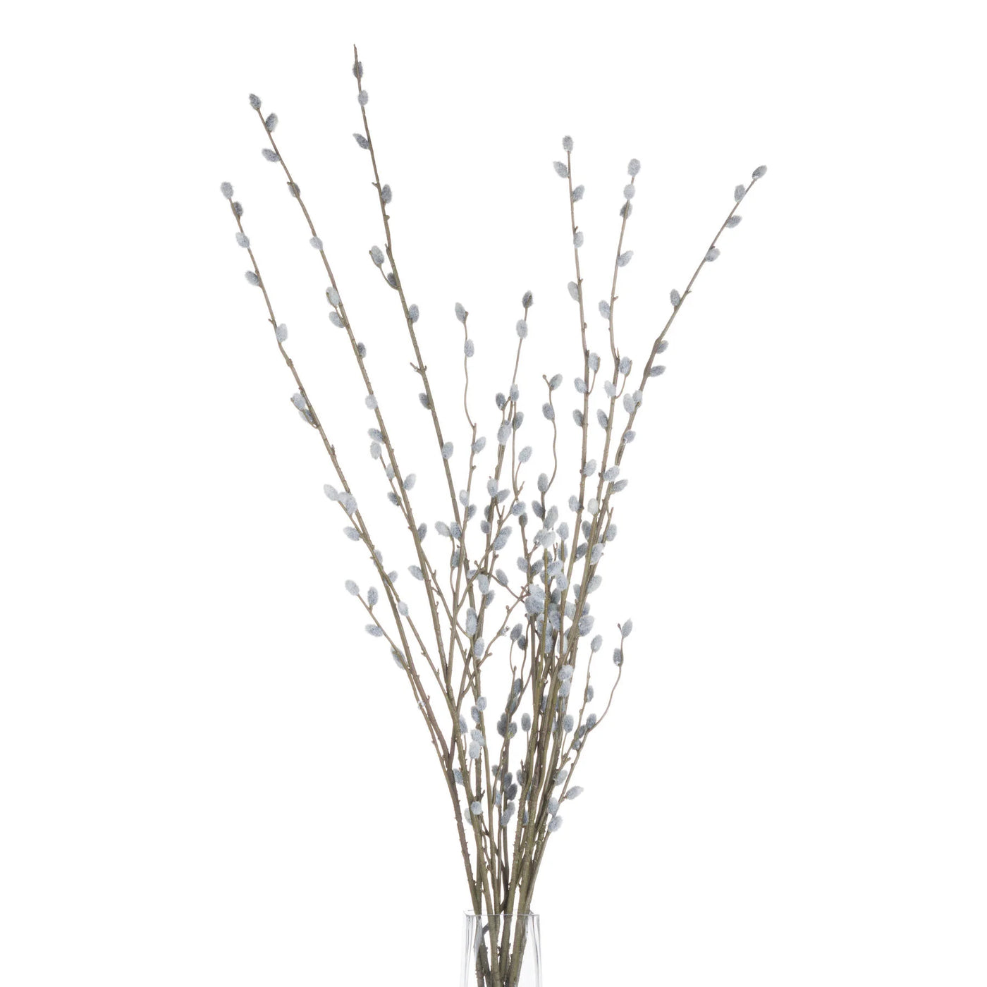 Hill-Interiors-Pussy-Willow-Branch_4