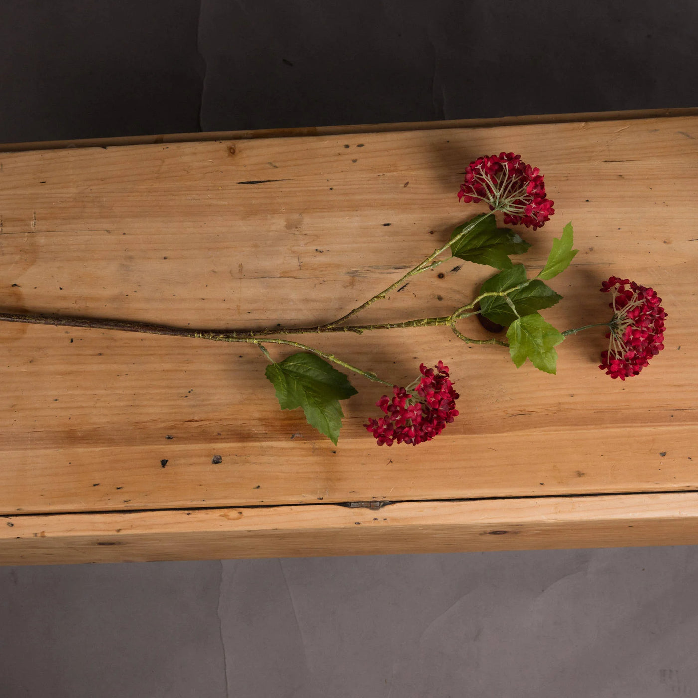 Hill-Interiors-Red-Autumnal-Viburnum_2